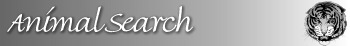 AnimalSearch